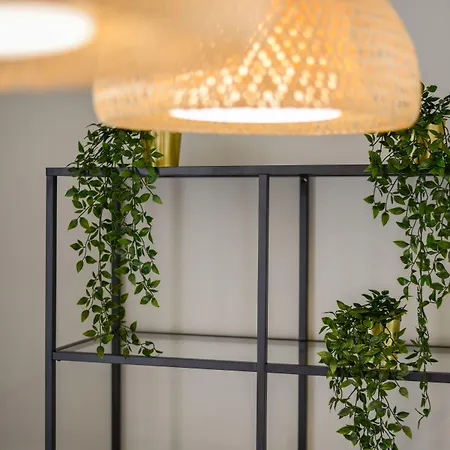 ゲストハウス Casa Conforto 3*