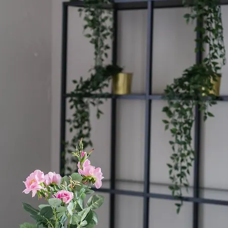 Pensjonat Casa Conforto