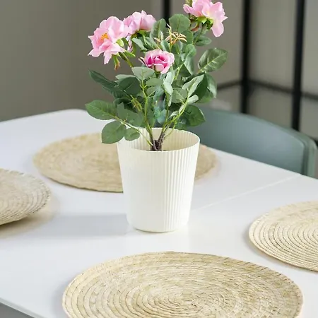 Casa Conforto Pensión